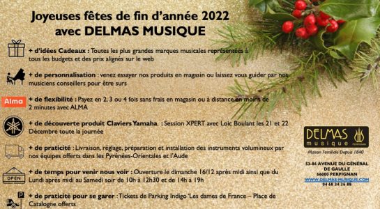 Delmas Musique NOEL-2022-1-545x300 Pour la fin d'année 2022, DELMAS Musique vous offre plus ! 