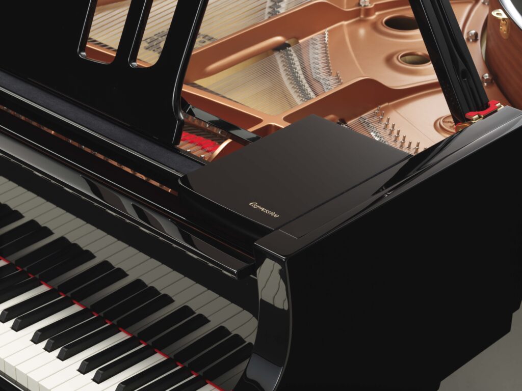 Delmas Musique Nouveauté acoustique : Découvrez le Yamaha C2X Espressivo, la précision japonaise au service de la chaleur européenne Delmas Musique C2XE_z_0002-1024x768 Nouveauté acoustique : Découvrez le Yamaha C2X Espressivo, la précision japonaise au service de la chaleur européenne